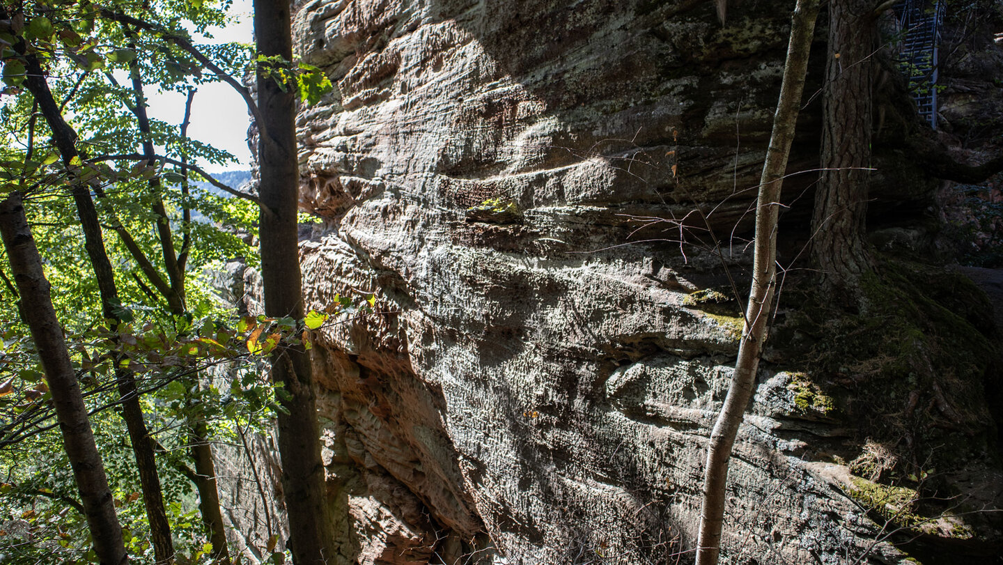Felswand der Fliehburg Backelstein bei Hauenstein