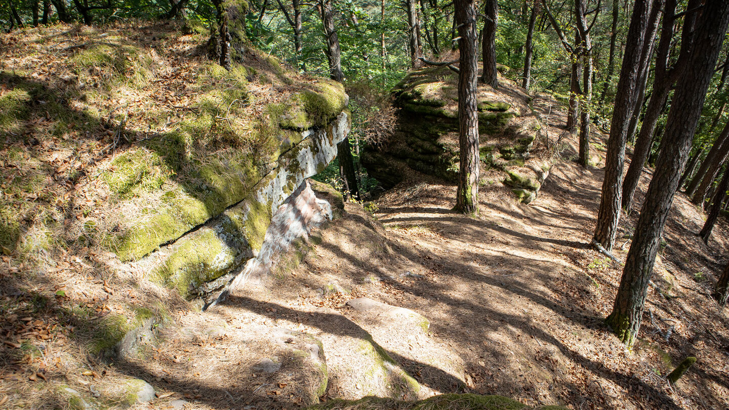 Schmaler Pfad entlang des Buntsandsteinriffs Richtung Wachtfelsen