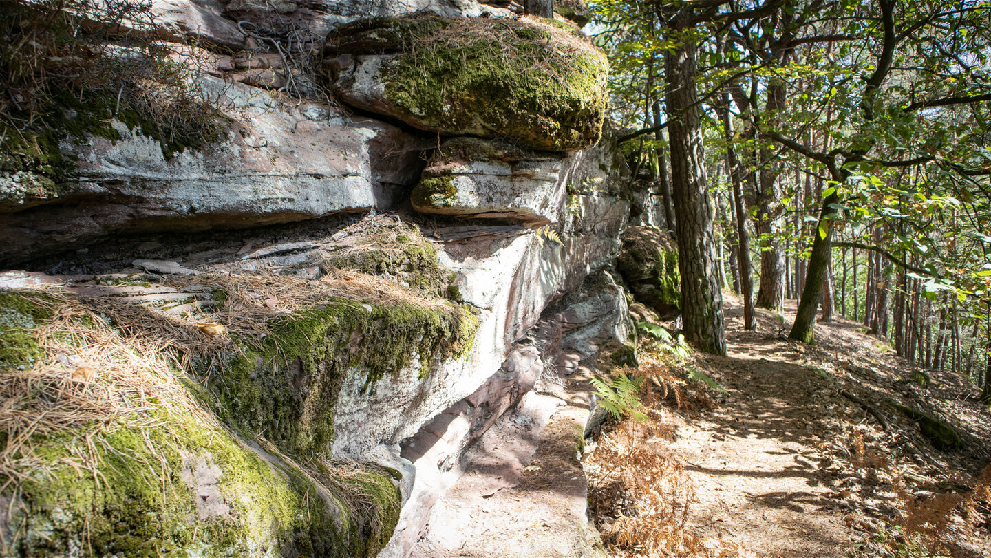 Naturpfad am Buntsandsteinriff bei Hauenstein