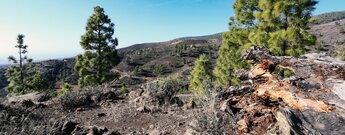 Wanderung auf dem PR-TF 86 zum Rast- und Camingplatz El Contador