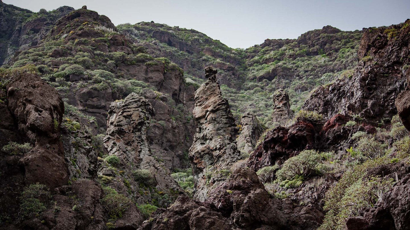 zerklüftete Felsformationen an den Abhängen der Schlucht