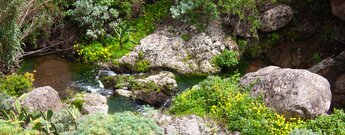 im Frühjahr fließt reichlich Wasser durch den Barranco de Chamorga