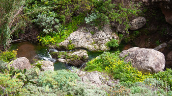 im Frühjahr fließt reichlich Wasser durch den Barranco de Chamorga