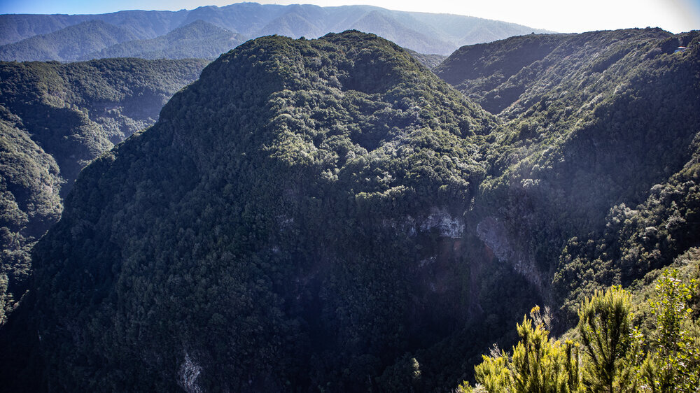 Barranco Fagundo - Wanderweg PR LP 9.2 auf La Palma