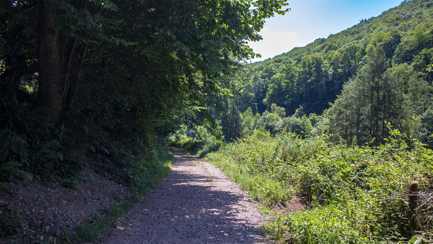 Wanderroute bei Ramberg im Wasgau Wanderroute bei Ramberg im Wasgau