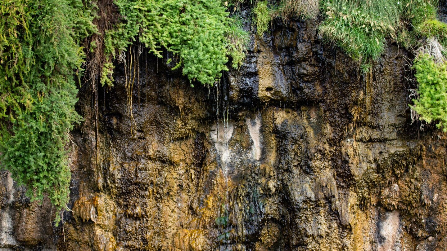 entlang einer Felswand tritt Wasser aus