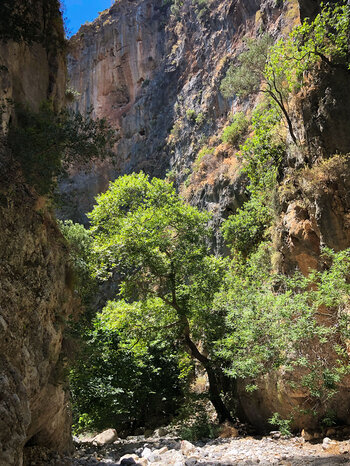die imposante Agia Irini-Schlucht