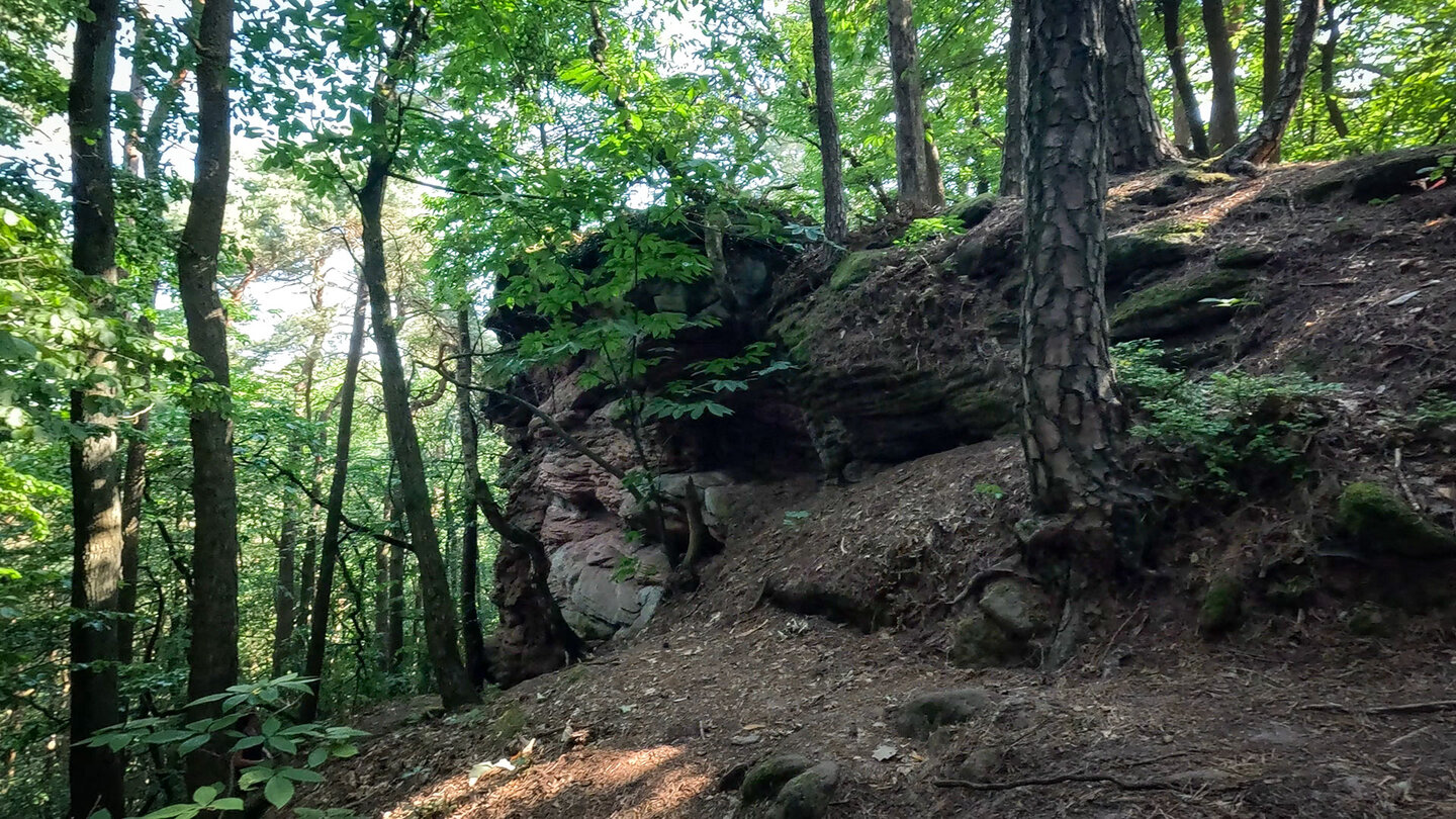 die Buntsandsteinfelsen der Isselmannsteine liegen auf dem Dimbacher Buntsandstein Höhenweg Buntsandsteinfelsen Isselmannsteine bei Dimbach im Pfälzerwald