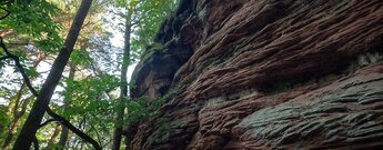 Isselmannsteine bei Dimbach im Pfälzerwald