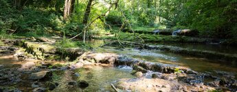 Kaskaden in der oberen Gauchachschlucht