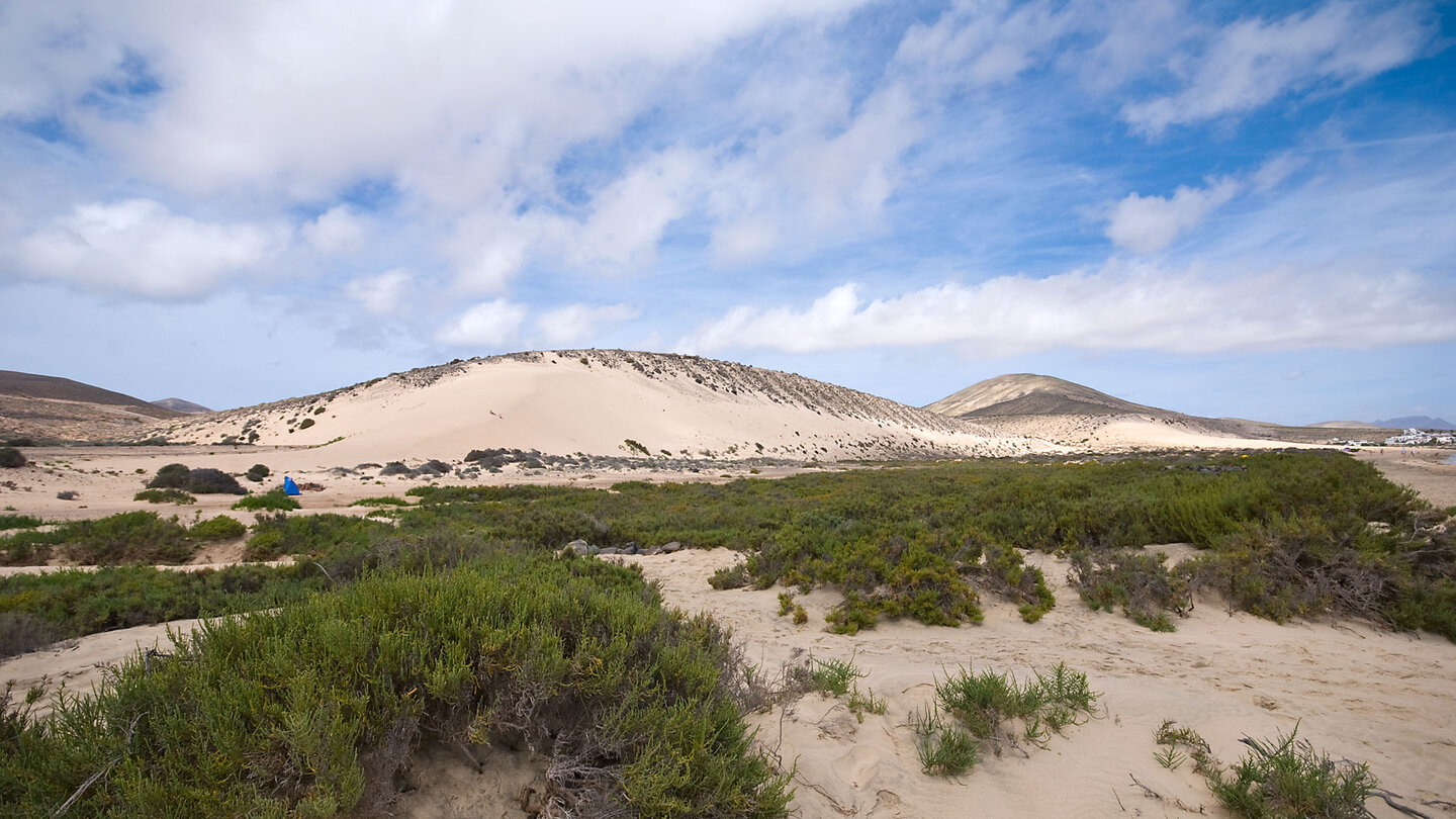 meterhohe Dünen am südlichen Abschnitt der Playa de Sotavento auf Fuerteventura meterhohe Dünen am südlichen Abschnitt der Playa de Sotavento auf Fuerteventura