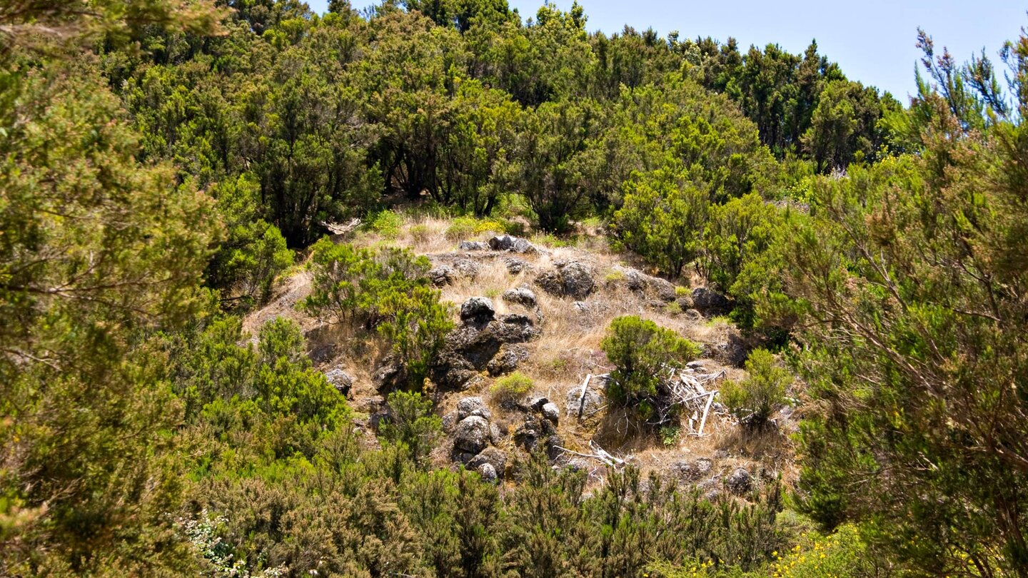felsige Abschnitte am Wanderweg zum Roque de Agando