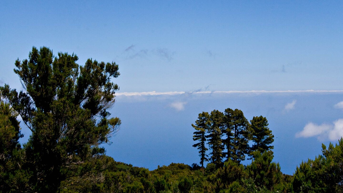 Aussicht über die Wälder vom Wanderweg zum Roque de Agando