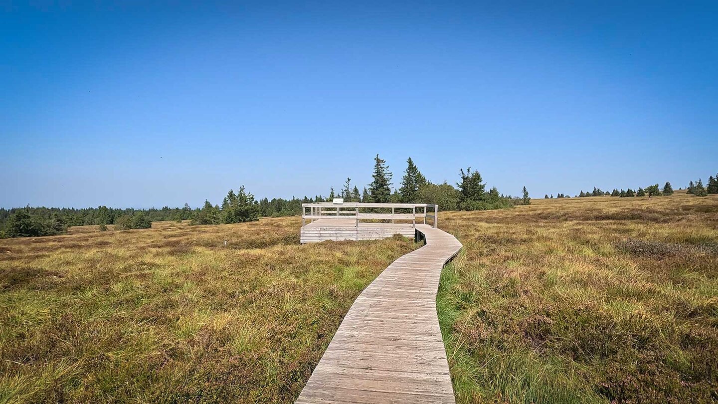 Hochmoor des Gazon de Faing