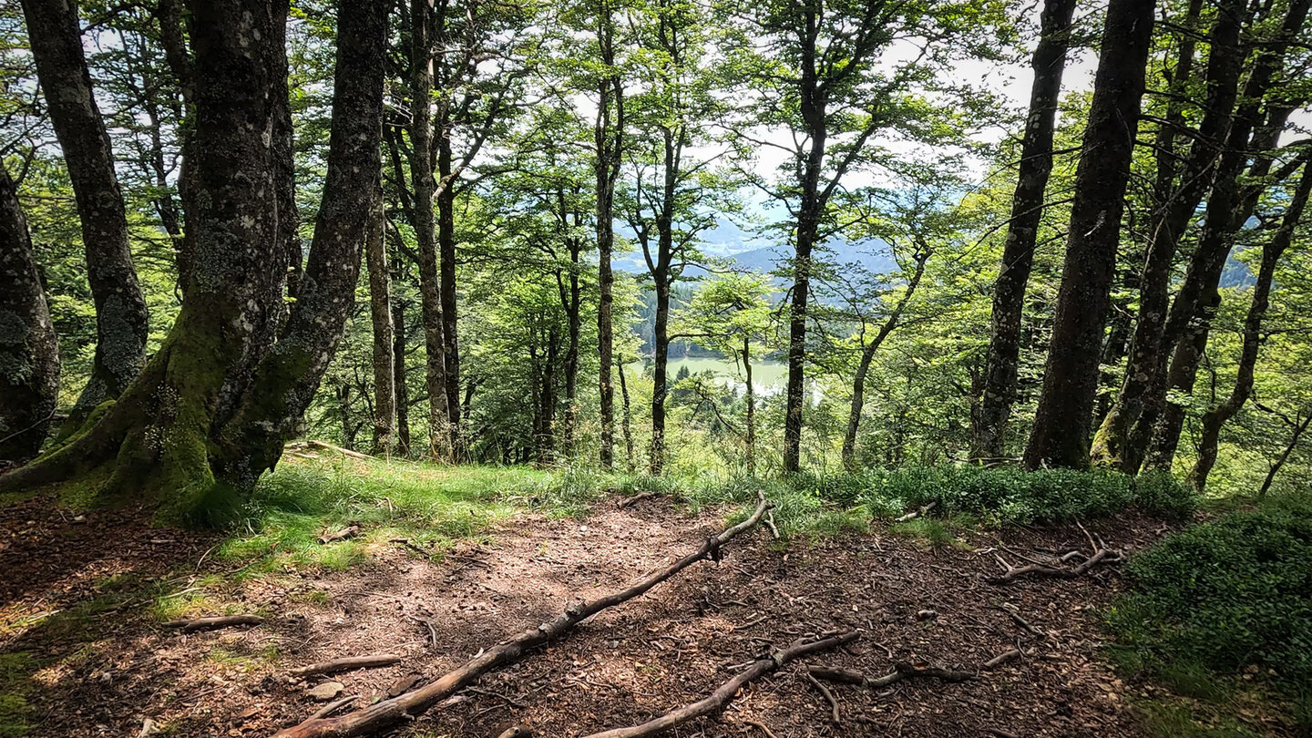 Lac Vert vom Höhenwanderweg