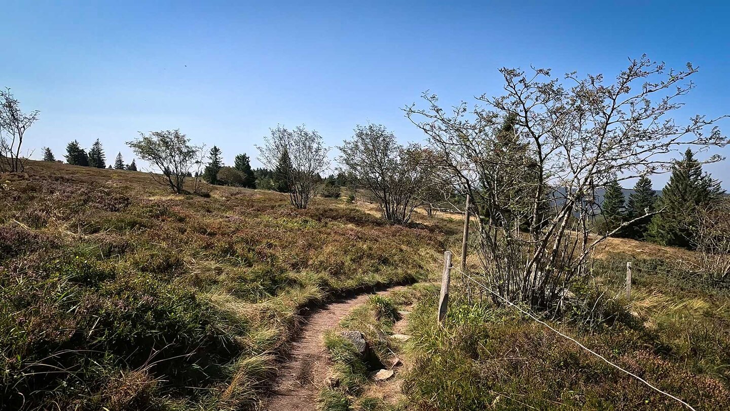 Wanderweg zur Auberge Gazon du Faing