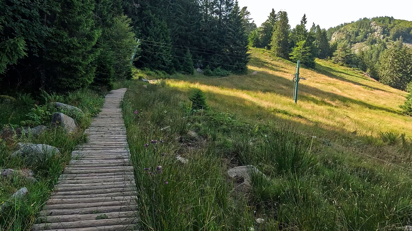 Holzbohlenweg am Seestaedtle