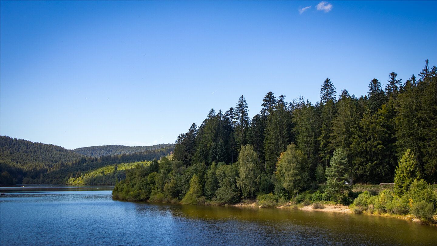 das Wasser der Schwarzenbach-Talsperre reflektiert den blauen Himmel