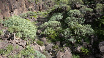 das Bachbett des Barranco de Itobal oberhalb des Stausees