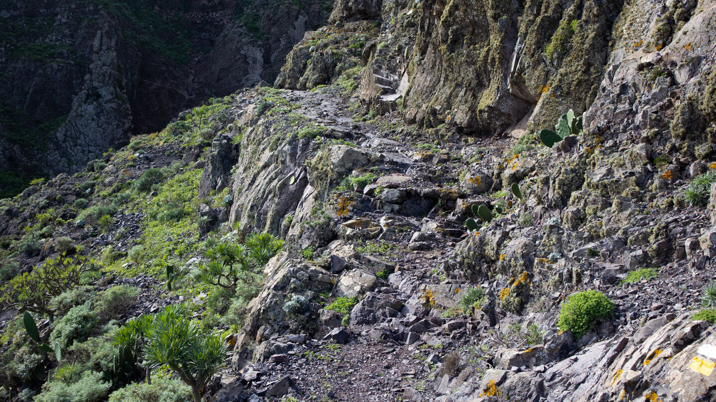 Wegabschnitt am Risco Steig