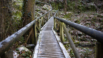 Brücke in der Schlucht der Gaishöll-Wasserfälle