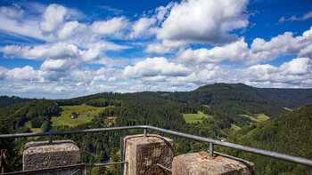 Panoramablick über den Schwarzwald vom Haberer-Turm