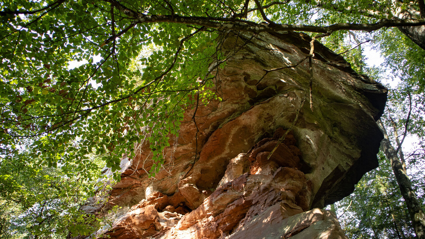 die Felsformation Krötenstuhl liegt an einem schmalen Waldpfad oberhalb des Wanderwegs