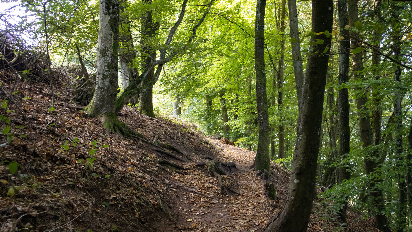 idyllischer Wanderweg zur Hohenbourg