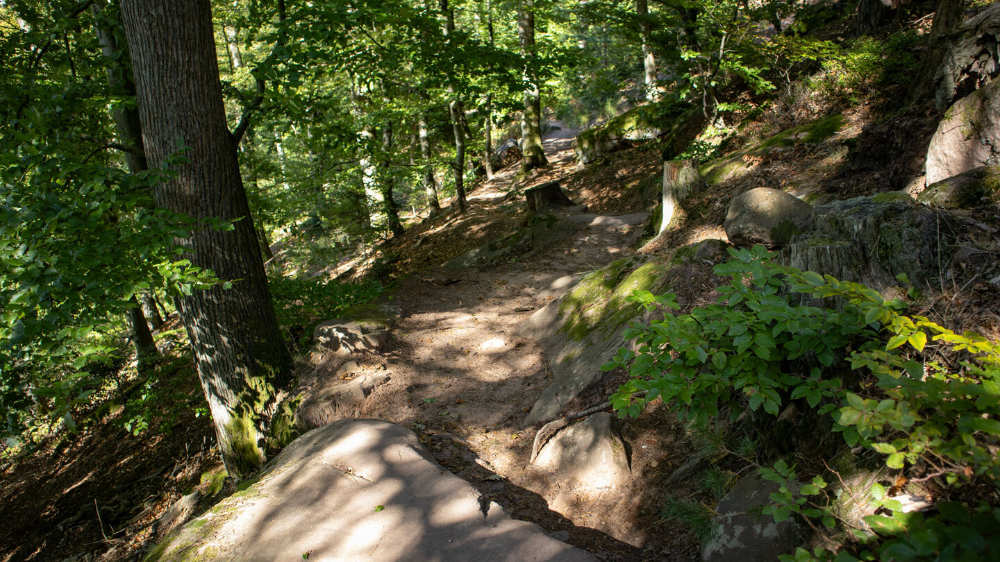 abwechslungsreicher Wanderweg zum Col de Hohenbourg