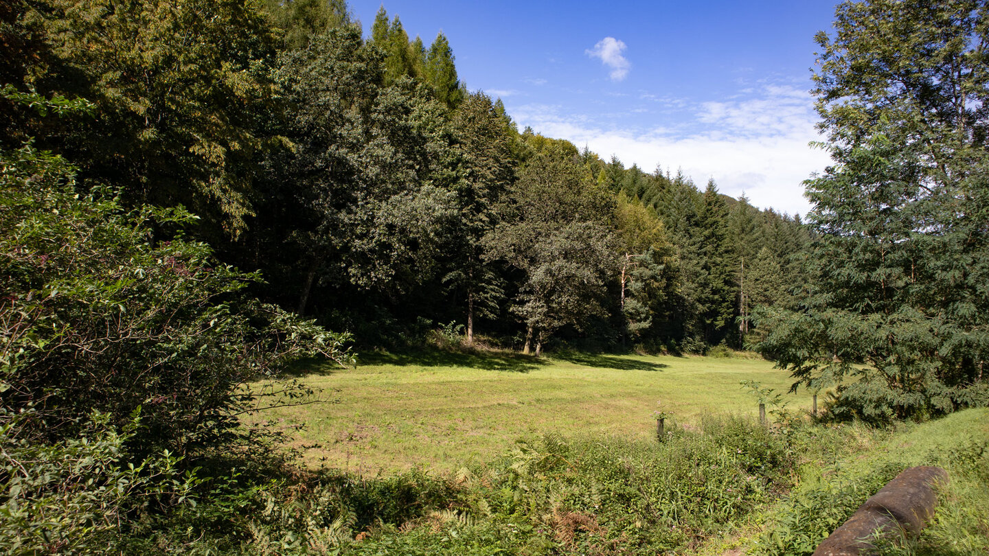 die Wanderroute verläuft durchs Lischbachtal zurück nach Nothweiler