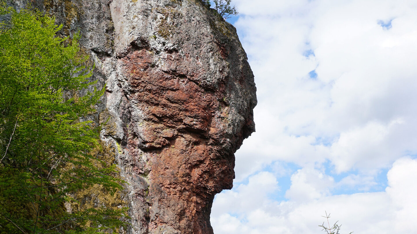 der Habichtskopf