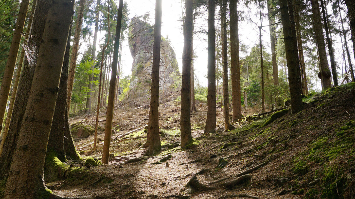 Blick durch den Wald auf eine Felsformationen