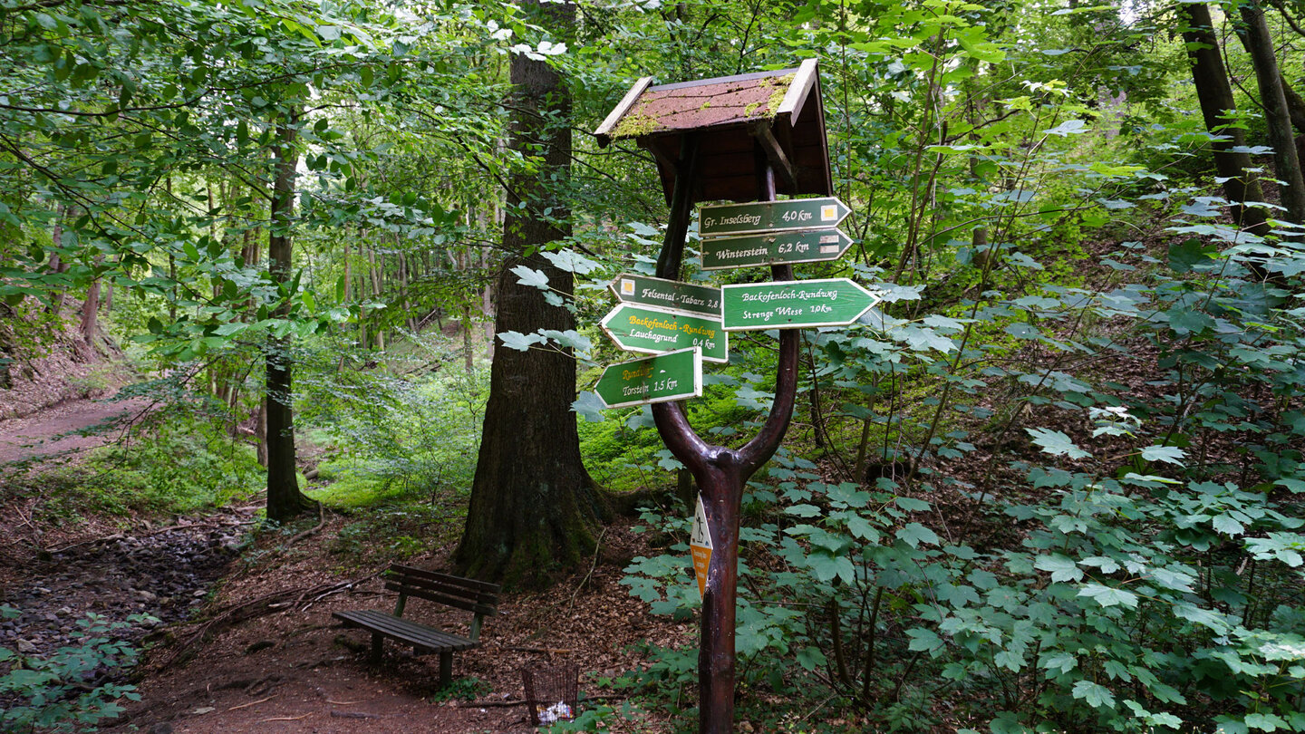 Wegweiser im Thüringer Wald
