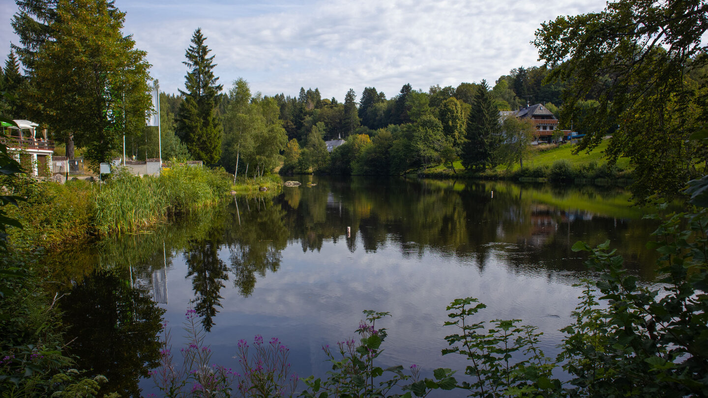 Klosterweiher bei Wittenschwand