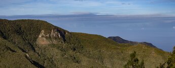 Ausblick über den Monteverde des Teno-Gebirges