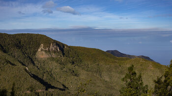 Ausblick über den Monteverde des Teno-Gebirges
