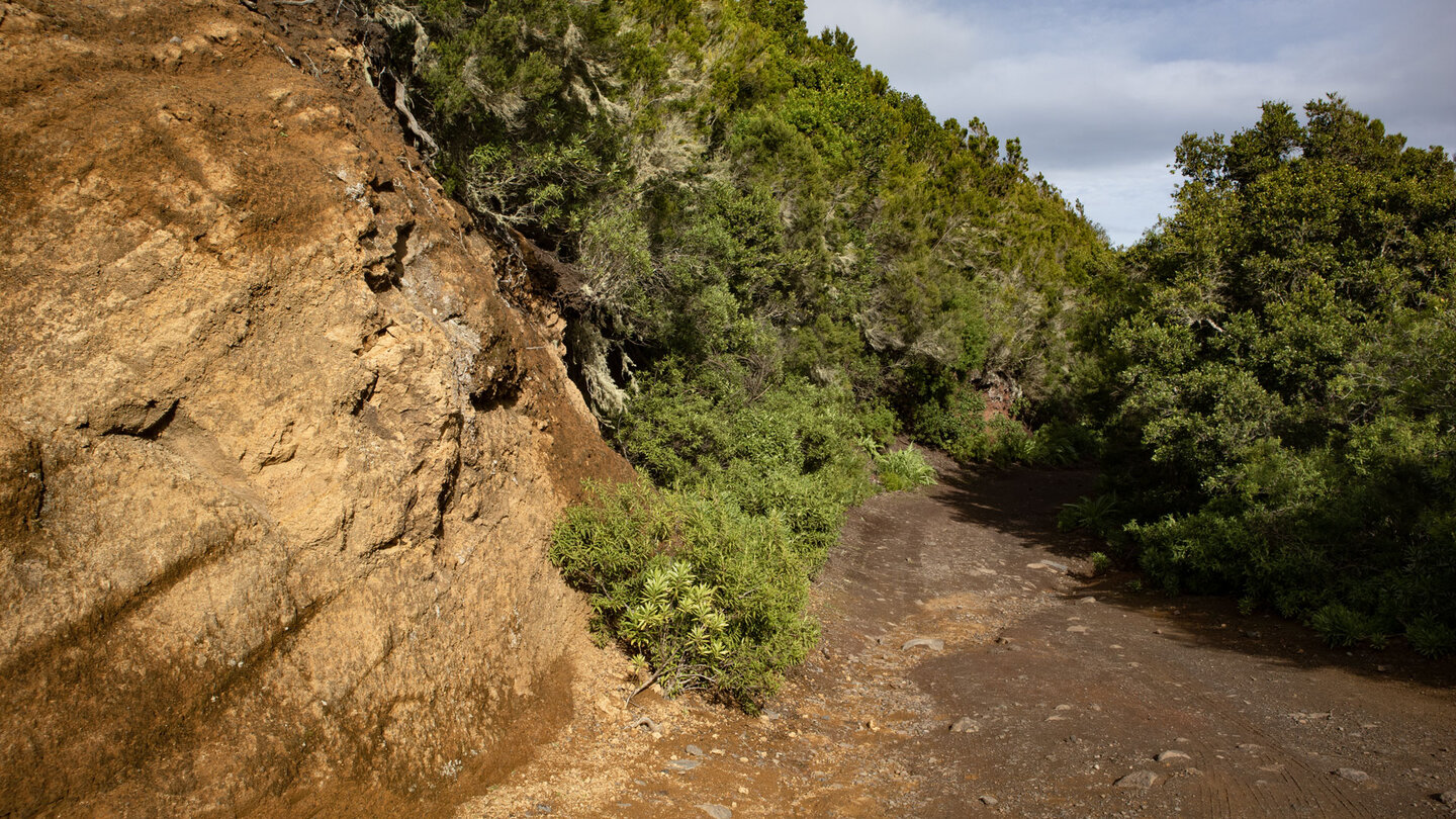 Wanderweg entlang der Pista Monte de Agua