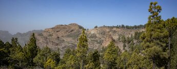 der Felsberg El Montañon im Landschaftspark Parque Rural del Nublo