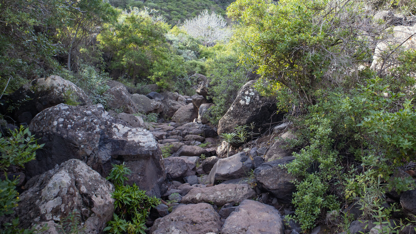 Wanderweg durchs Bachbett mit groben Steinen