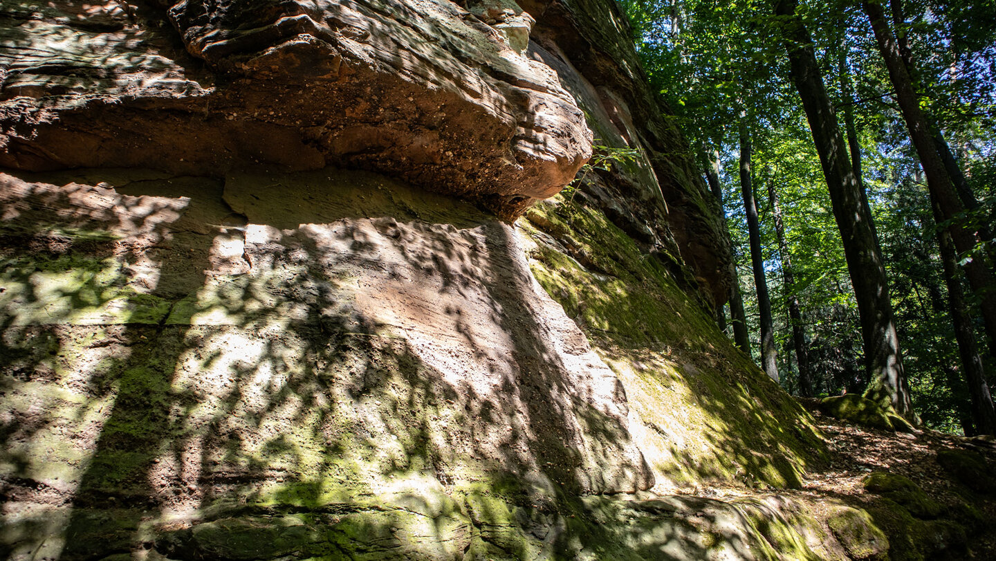 Felswand des Heegerturms im Dahner Felsenland mit Überhang oben, Moos am Fuß und lichtem Wald im Hintergrund