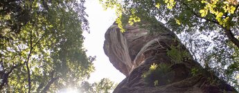 Heegerturm im Dahner Felsenland mit verwitterter Felsstruktur, Farnbewuchs am Felsfuß und durchscheinendem Sonnenlicht zwischen den Baumkronen
