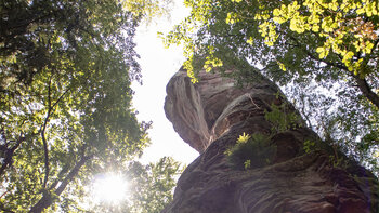 Heegerturm im Dahner Felsenland mit verwitterter Felsstruktur, Farnbewuchs am Felsfuß und durchscheinendem Sonnenlicht zwischen den Baumkronen