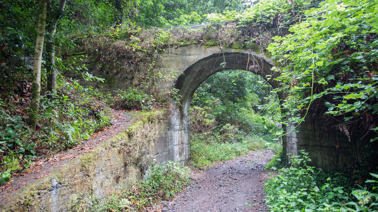 Wanderweg entlang der Piste in den Lorbeerwald