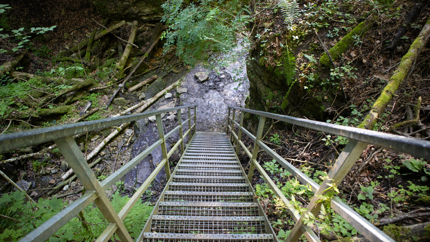 Abstieg über eine Leiter in die Engeschlucht des Tränkebachs