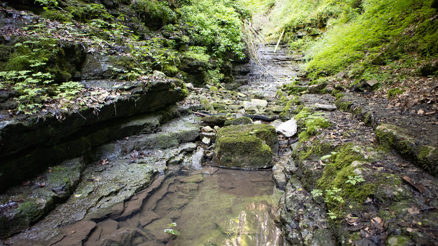 Gumpen in der Engeschlucht des Tränkebachs Gumpen in der Engeschlucht des Tränkebachs