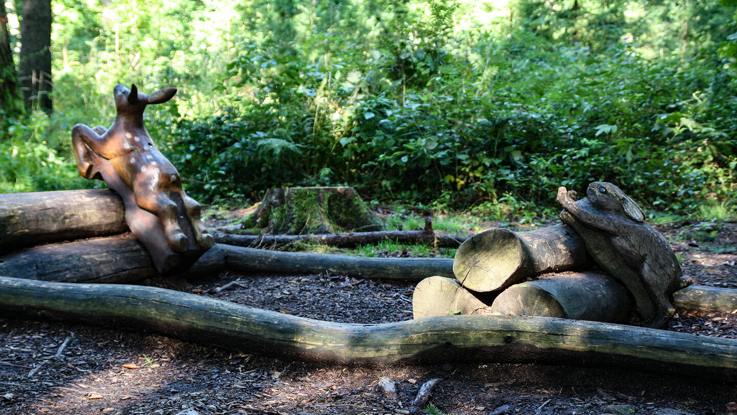 Hase und Reh am Themenweg Walderlebnispfad am Königstuhl Hase und Reh am Themenweg Walderlebnispfad am Königstuhl