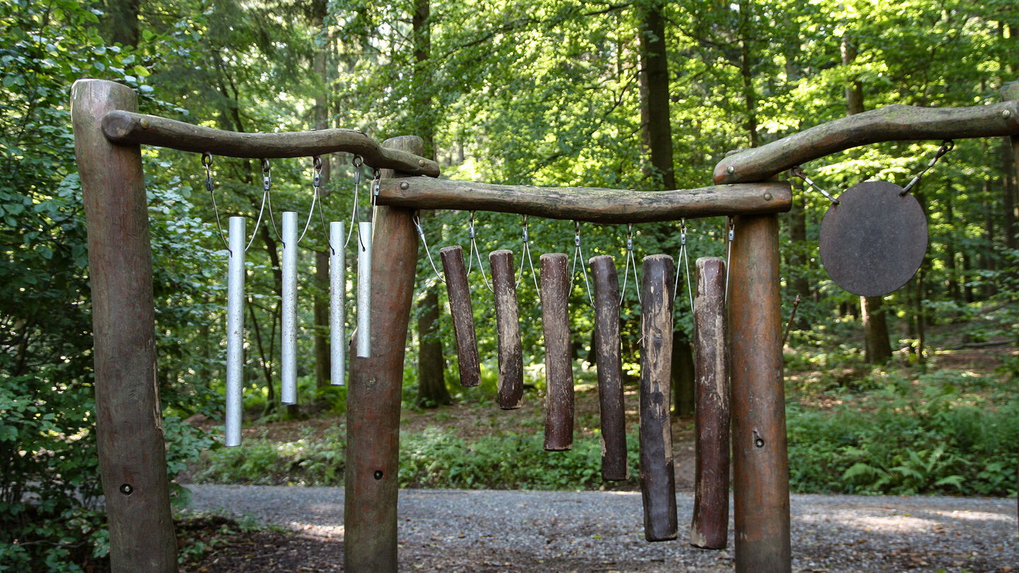 Klanginstallation auf dem Walderlebnispfad am Königstuhl in Heidelberg Klanginstallation auf dem Walderlebnispfad am Königstuhl in Heidelberg
