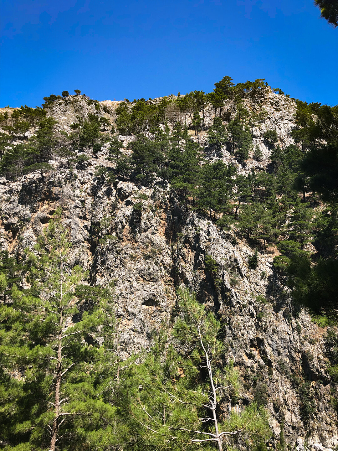 zerklüftete Felswände in der Agia Irini Schlucht
