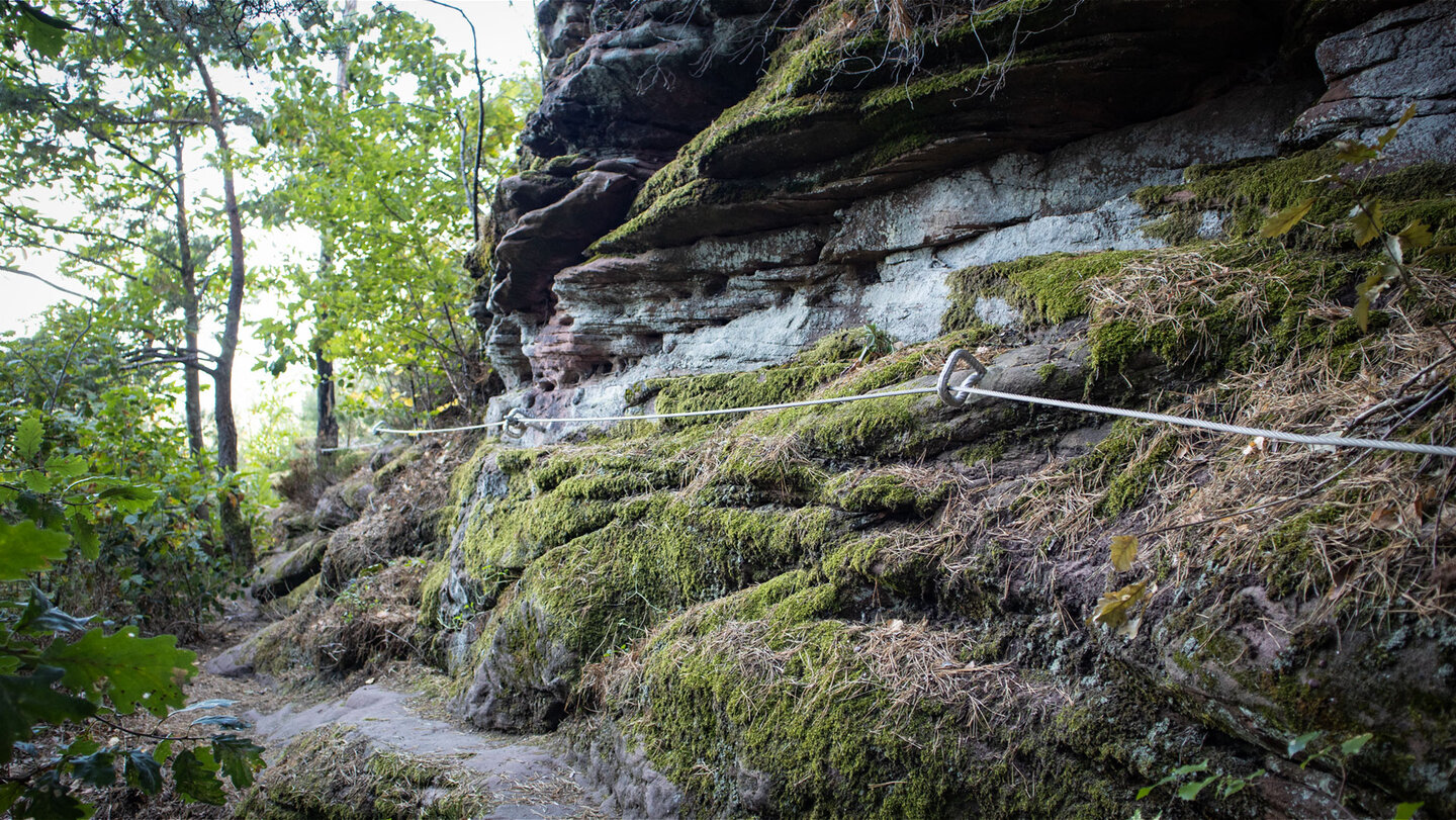 Schmaler Felspfad am Hockerstein mit Drahtseilsicherung entlang moosbewachsener, verwitterter Buntsandsteinwände im Pfälzerwald
