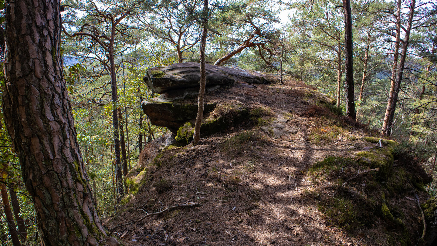 Natürlicher Felsvorsprung am Riff oberhalb von Schwanheim mit flachen Sandsteinschichten, Licht- und Schattenspiel und Kiefern ringsum